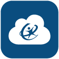 Connection icon